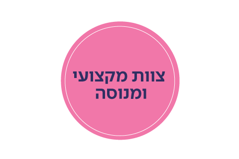 צוות מקצועי ומנוסה