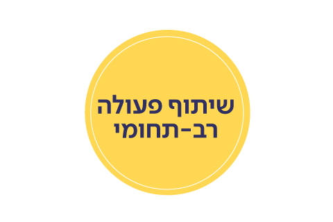 שיתוף פעולה רב-תחומי